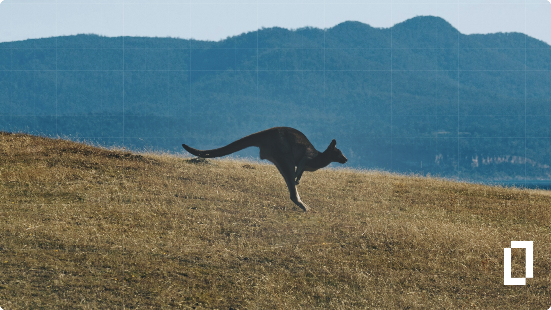 Australia's Climate Disclosure Rules: What You Need to Know