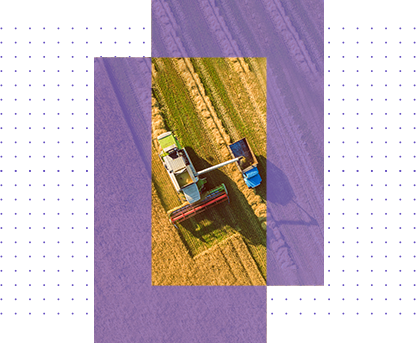 Agri-Value-Chain-1