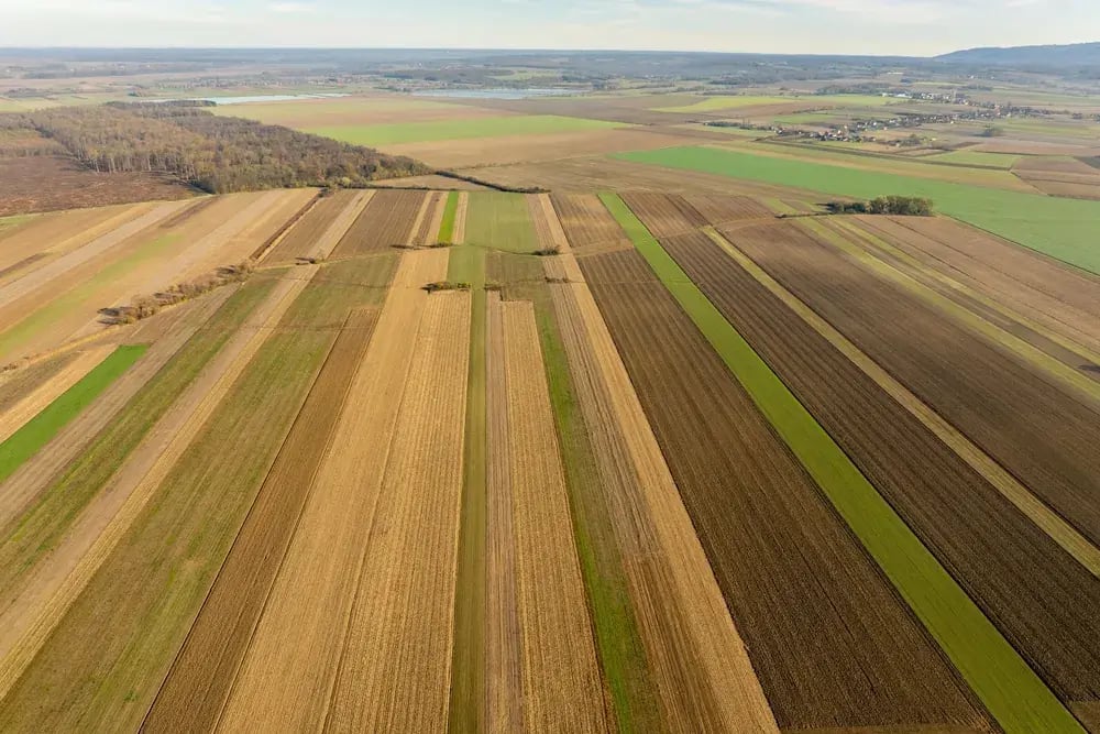 Aerial view of farmland in long strips of crops