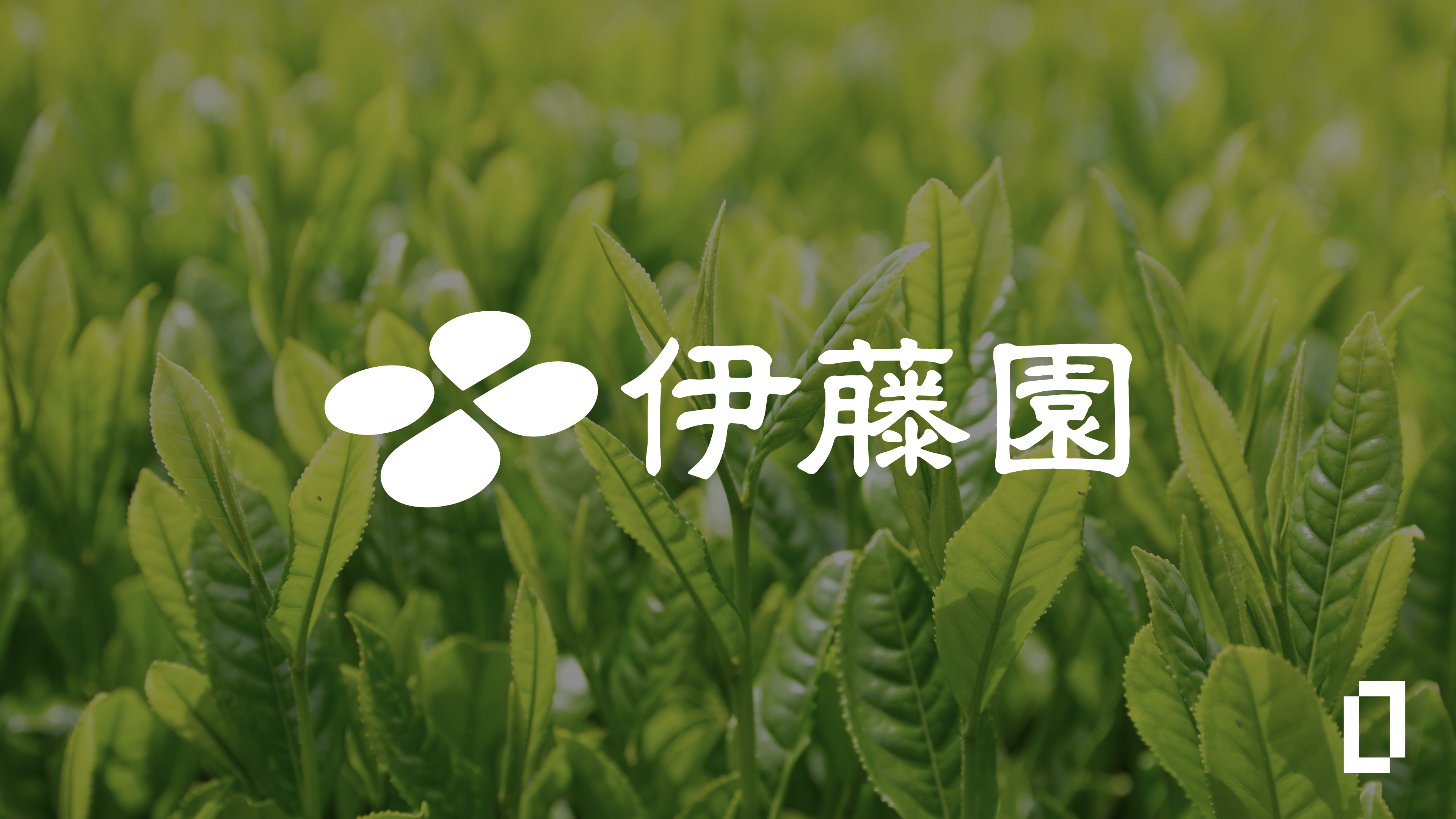 伊藤園：排出原単位（EF）分解でFLAG排出を高粒度に測定。SBTi審査を約2ヶ月で完了し認定取得。