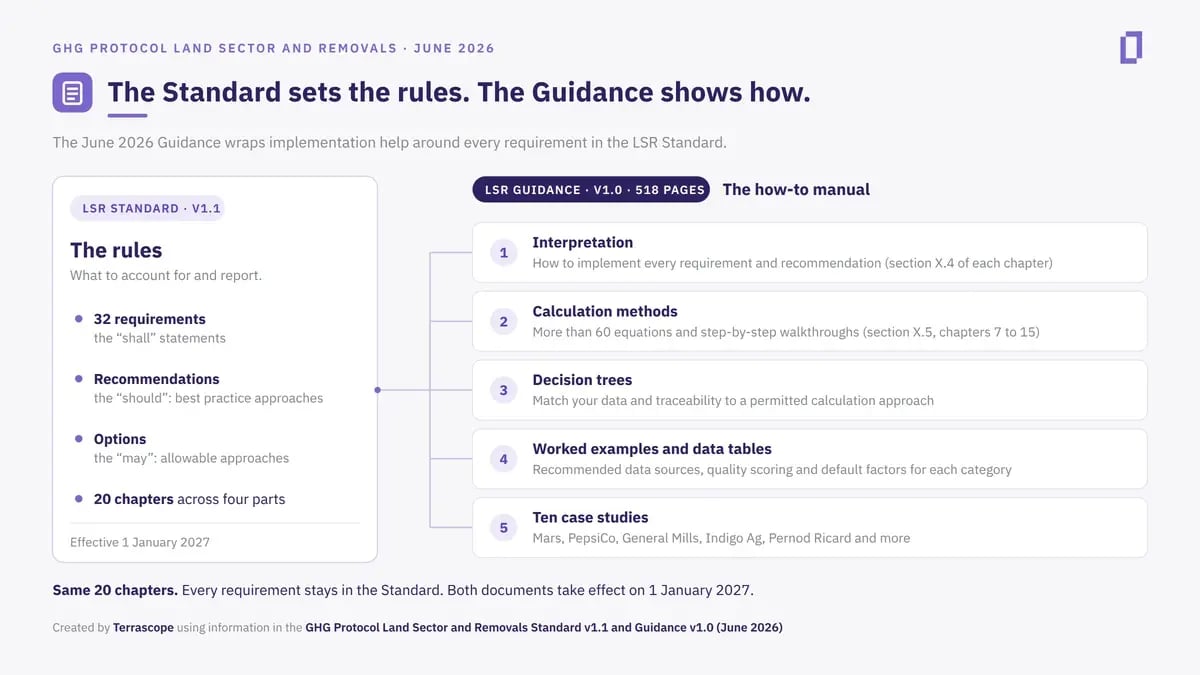 LSR_Standard_vs_Guidance_infographic