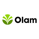 Olam