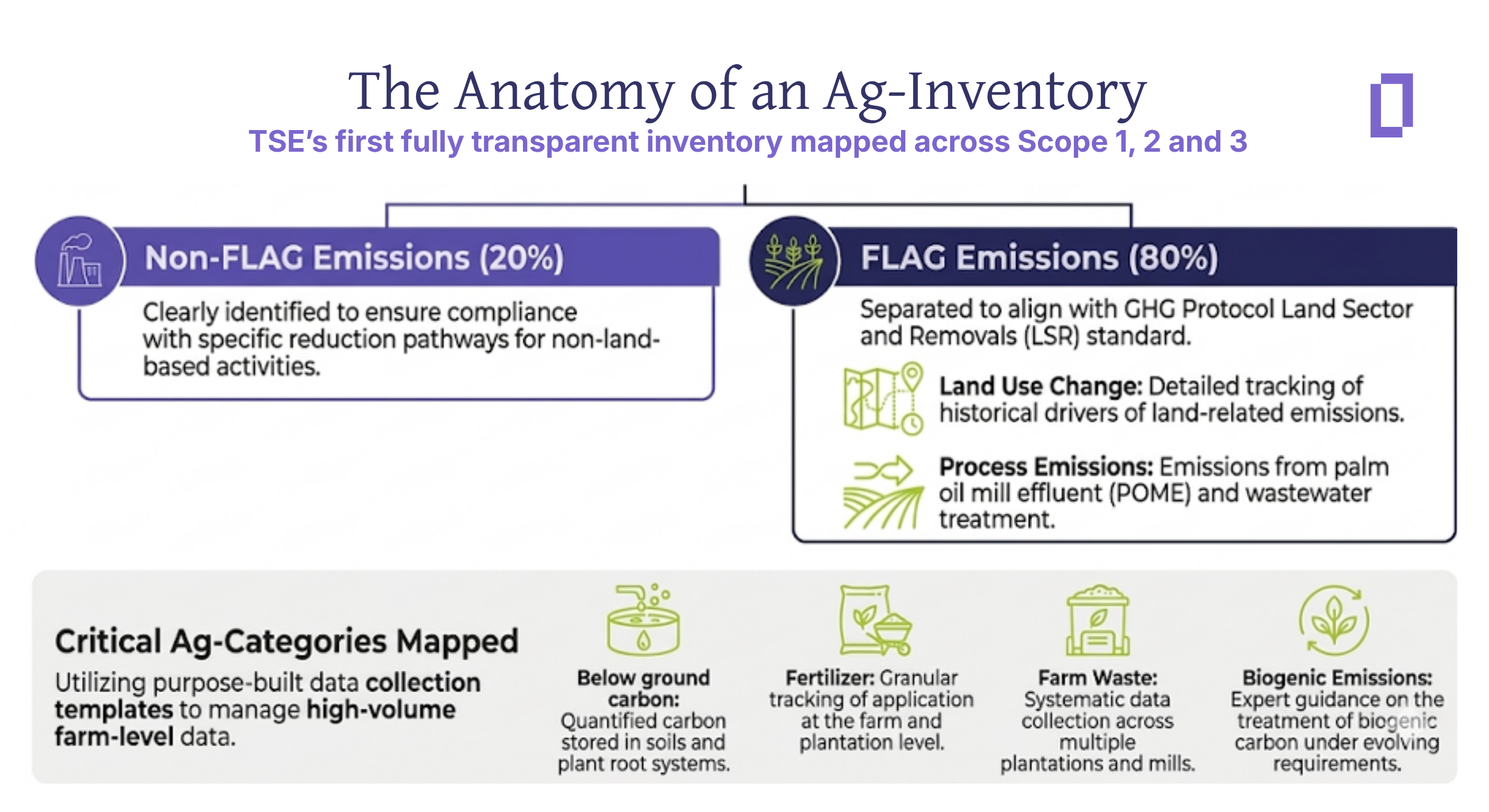 TSE’s first fully transparent inventory mapped across Scope 1, 2 and 3