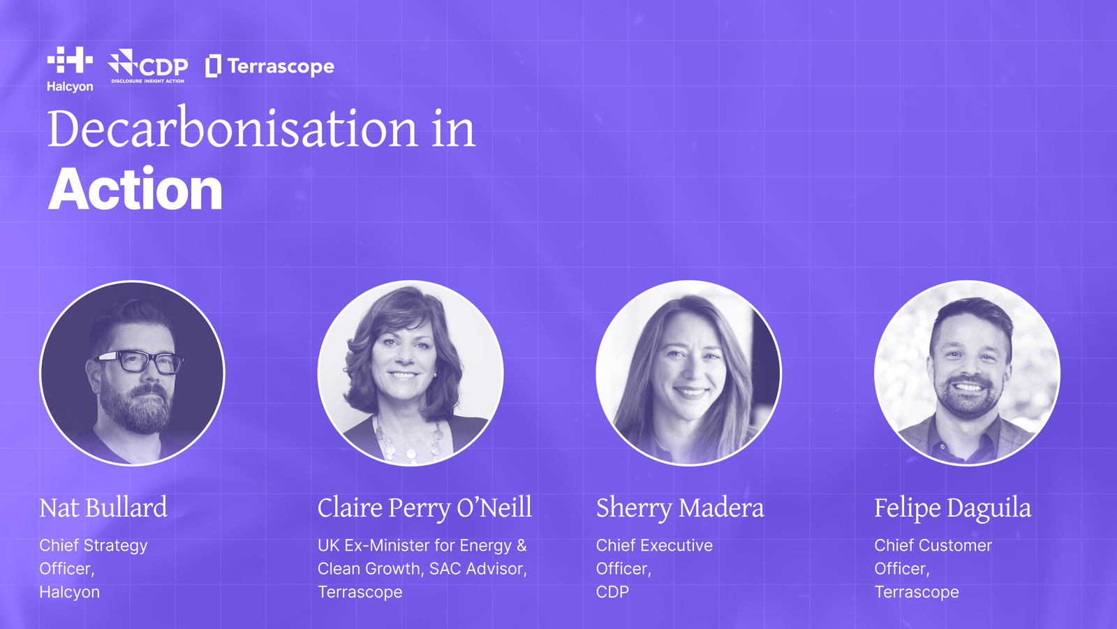 Decarbonisation in Action:  Global Trends and Future Directions