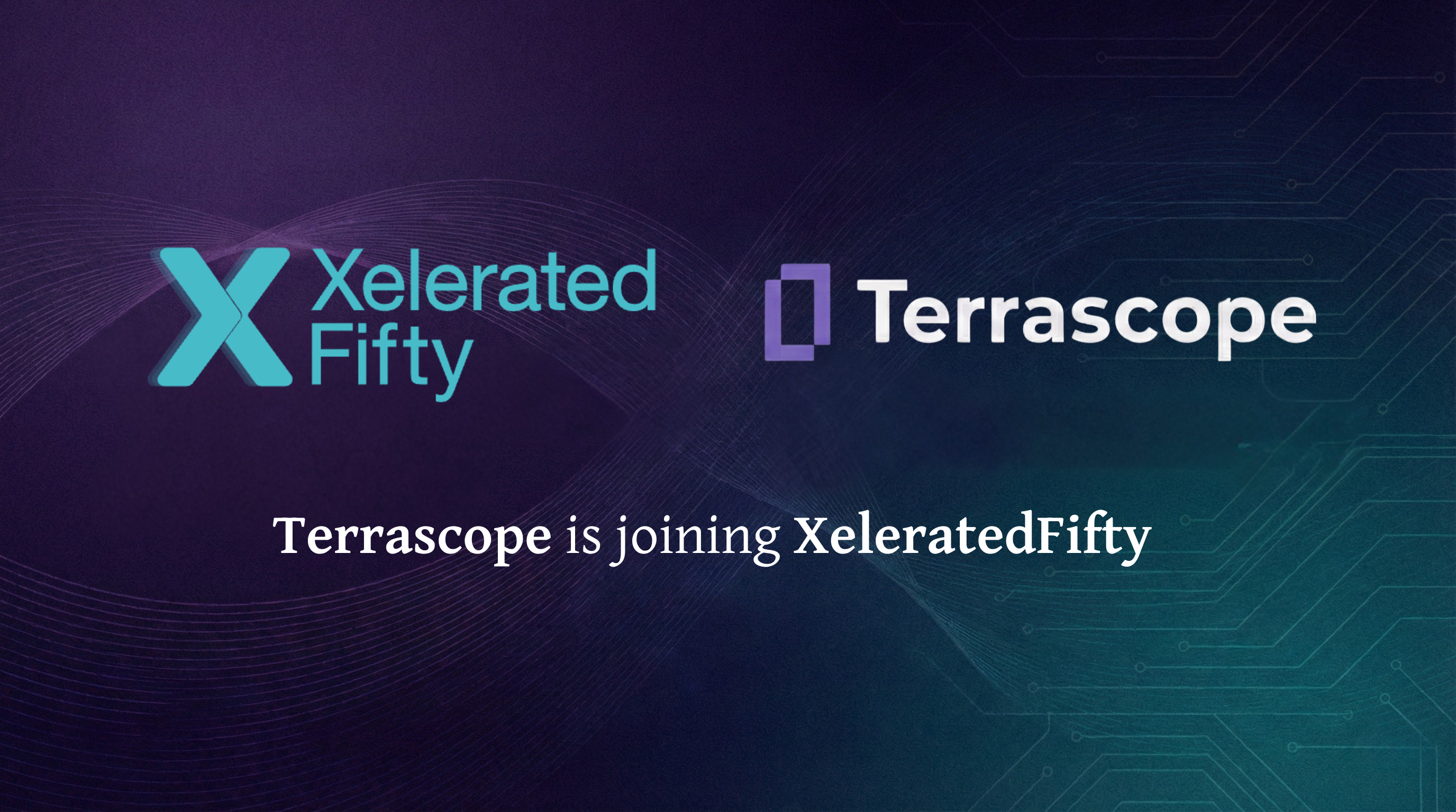 Terrascope、XeleratedFiftyを新たなオーナーに迎える。