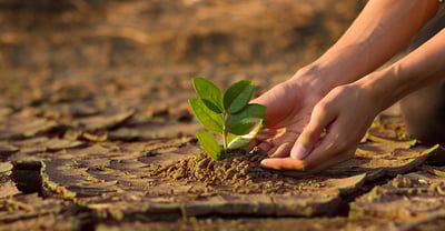 The-basics-of-Climate-Change