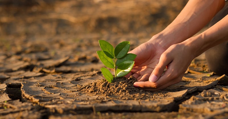 The-basics-of-Climate-Change