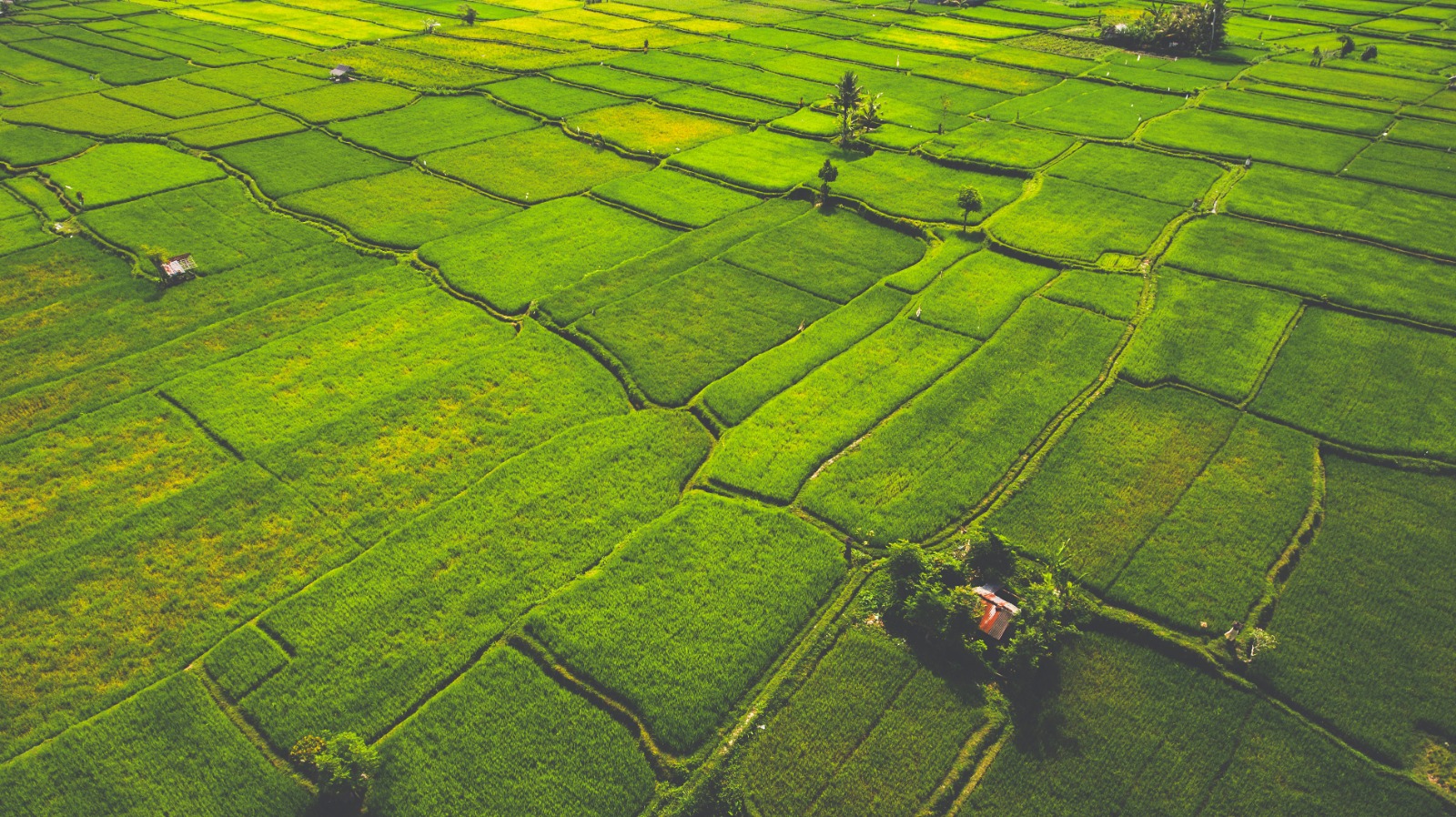 _Agricultural Emissions_