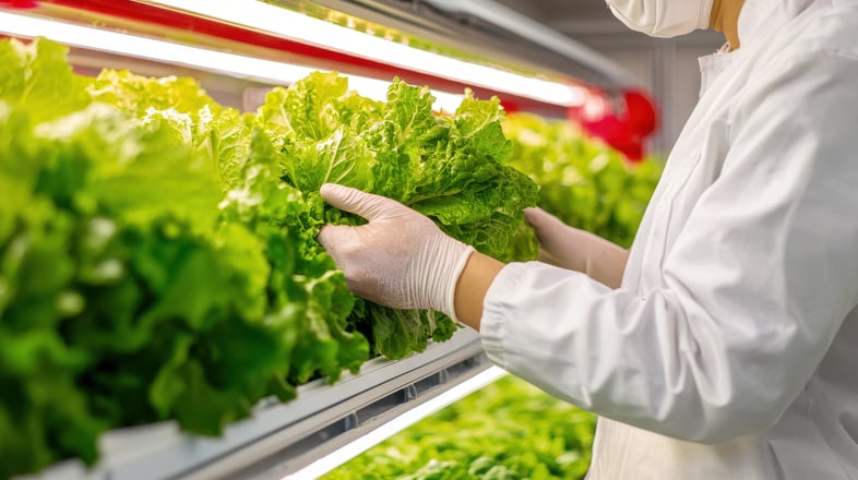 ja-blog-decarbonisation-in-food-industry-2
