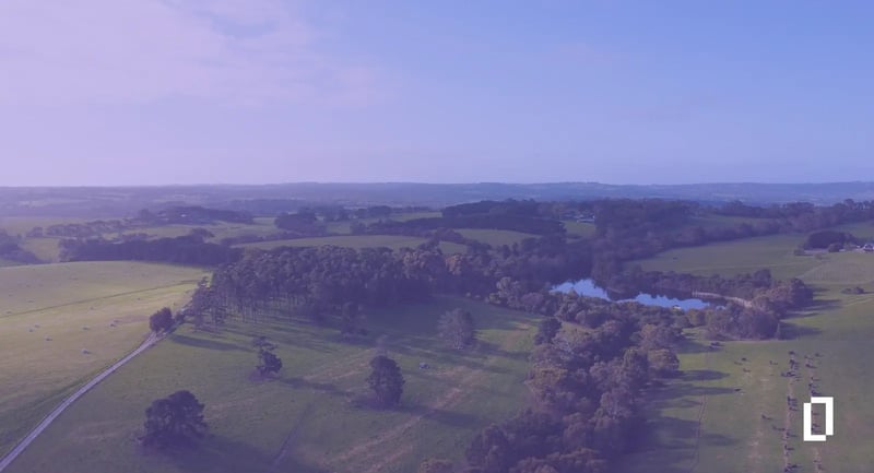 Carbon accounting in Australia: aerial view of green farmland, trees and a farm dam in Victoria