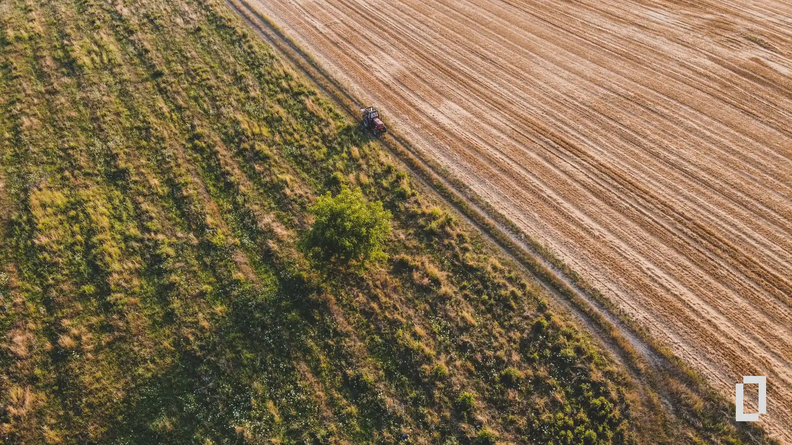 The Land Sector and Removals Standard: what changed from the 2022 draft