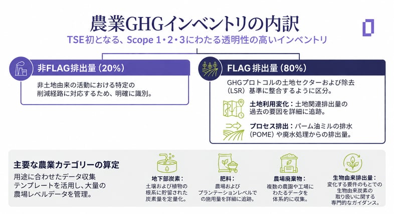 tse-group-palm-oil_jp