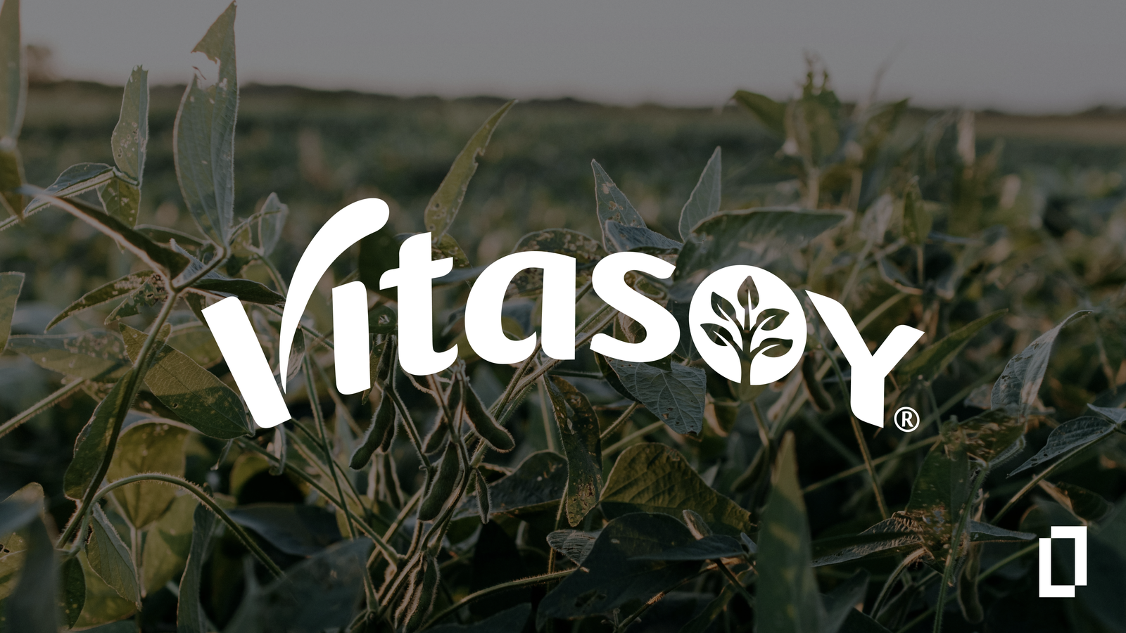 How Vitasoy Transformed Local Sourcing Into Competitive Advantage Ahead of Australia's Mandatory Sustainability Reporting