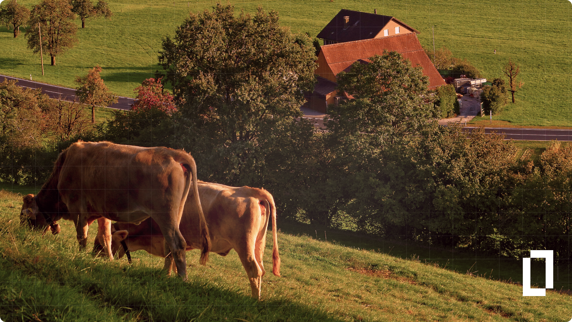 Precision at the Root: Unlocking Farm-Level Carbon Insights