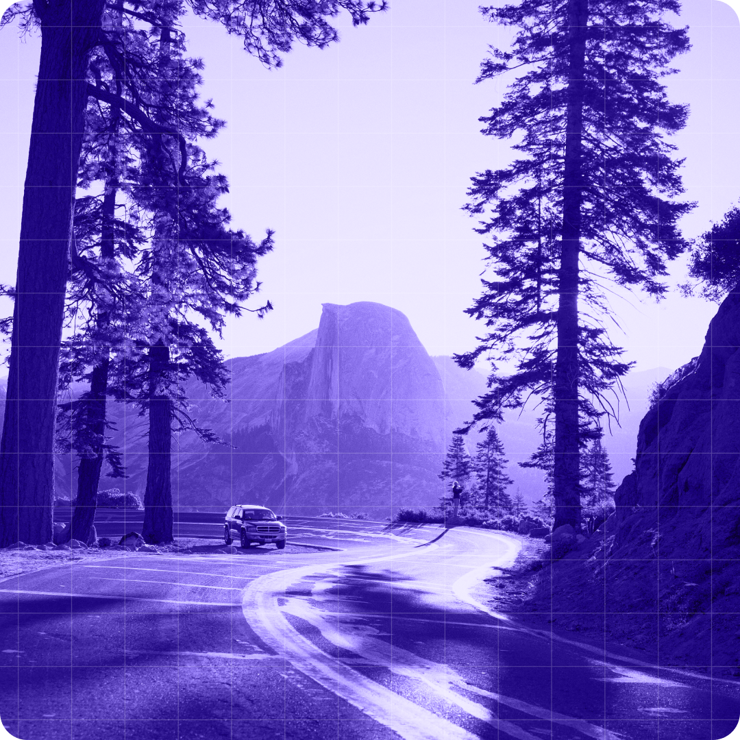Cal TN