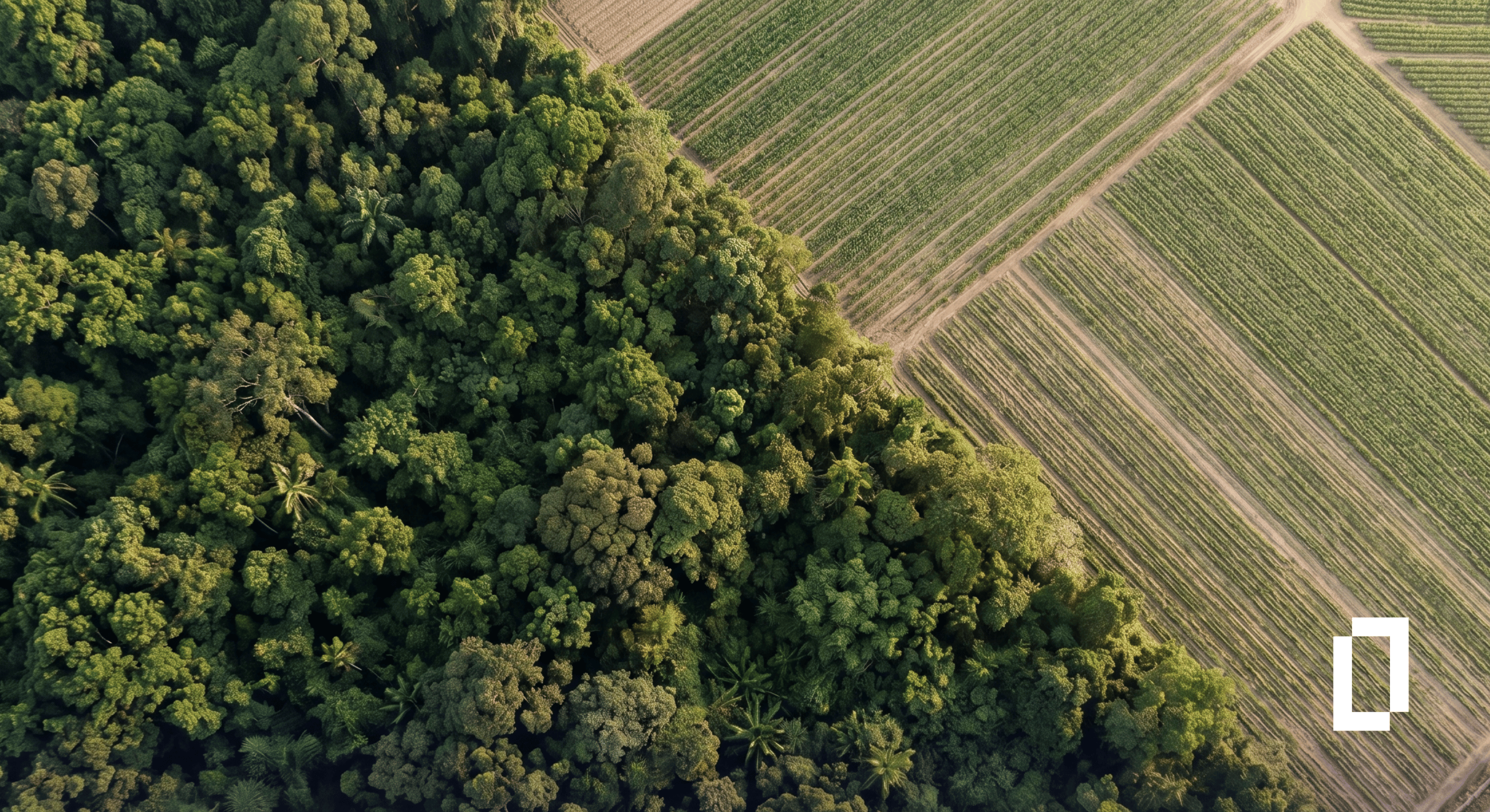 Aerial view of agricultural land bordering tropical forest, representing the land use change emissions that companies must now report separately under the GHG Protocol's Land Sector and Removals standard.