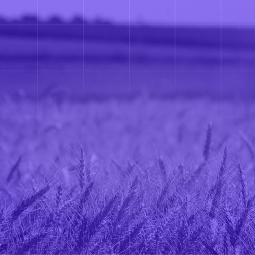 SBTI-FLAG