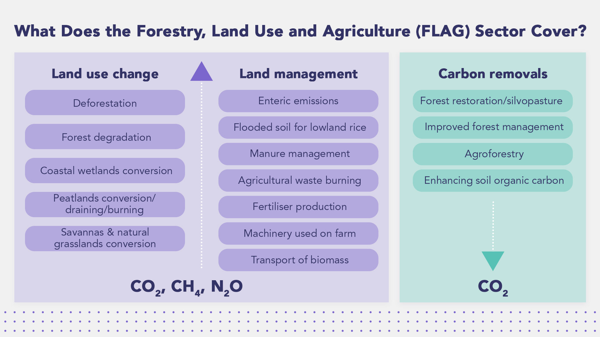 What Does the Forestry Land Use and Agriculture FLAG Sector Cover What Does the Forestry Land Use and Agriculture FLAG Sector Cover