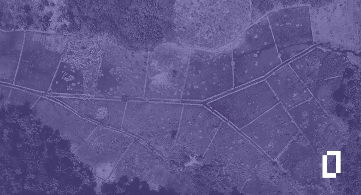 How land-intensive companies measure and cut their emissions: 4 examples