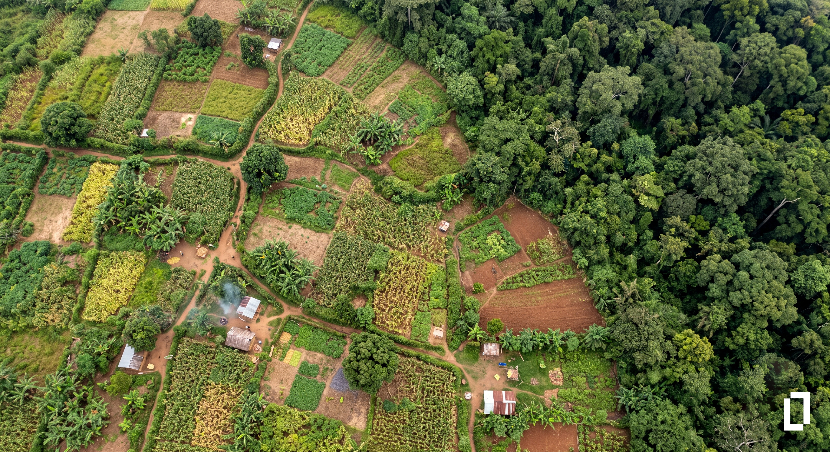 The Land Sector and Removals Standard: a new rulebook for land emissions