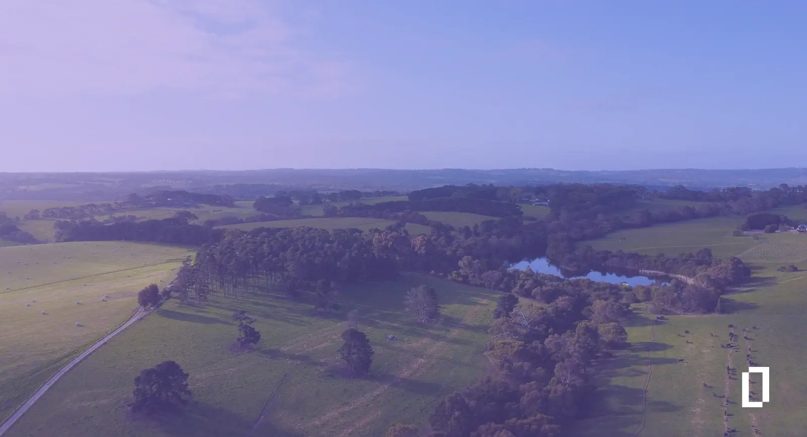 Carbon accounting in Australia: aerial view of green farmland, trees and a farm dam in Victoria