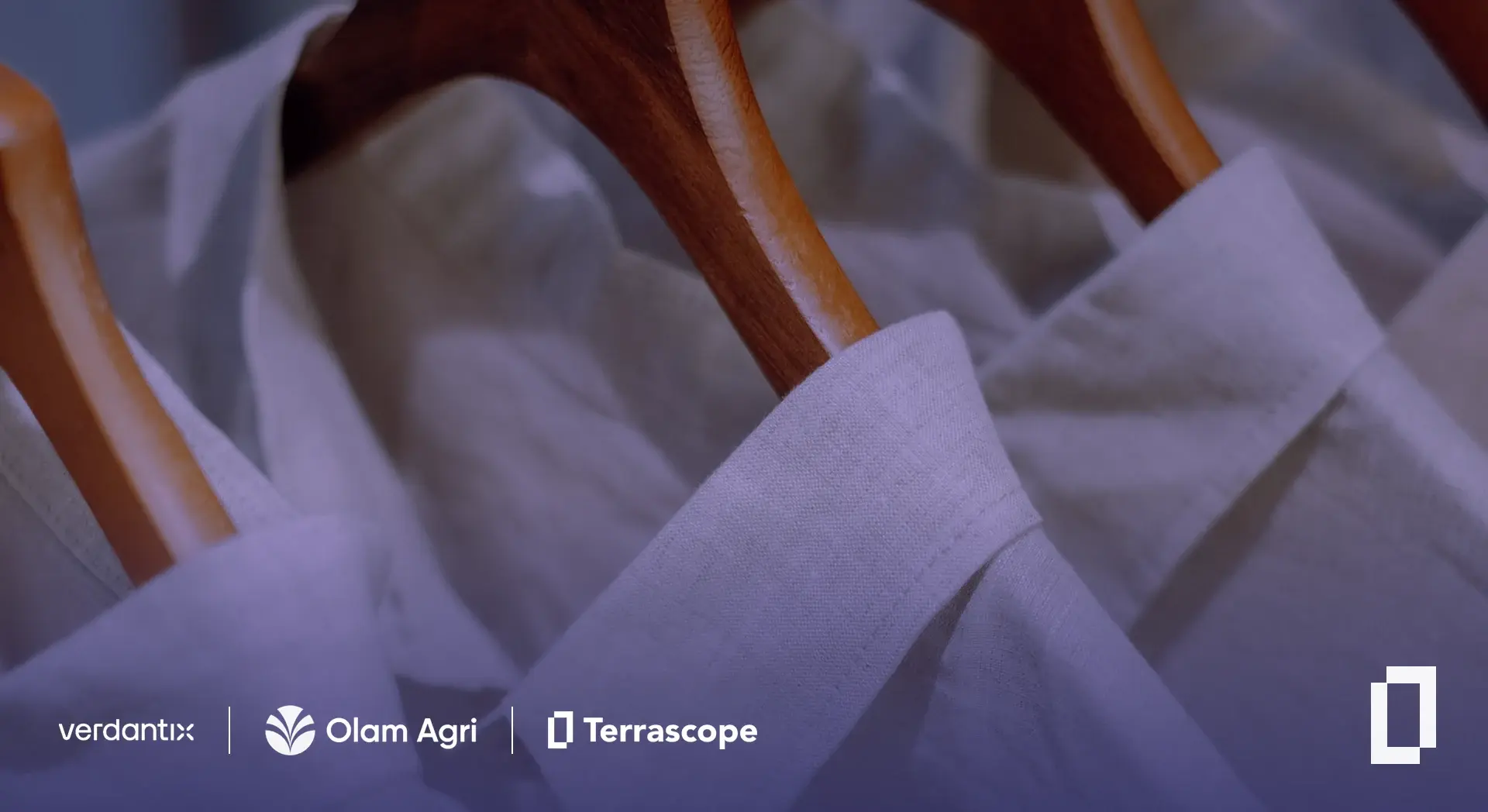 Verdantix: Sustainable Cotton for Fashion